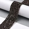 Electroplate Glass Beads Strands GLAA-H021-01A-FP06-3