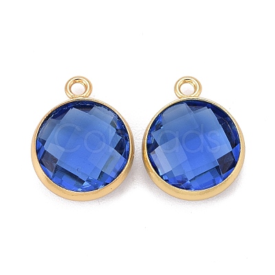 Glass Charms KK-C228-02G-1
