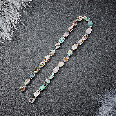 Natural Abalone Shell/Paua Shell Beads SSHEL-BC0001-08-1