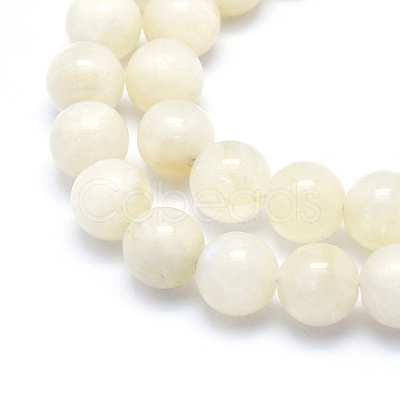Natural Rainbow Moonstone Strands G-G764-45-10mm-1