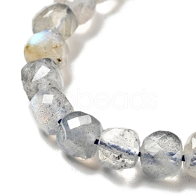 Natural Labradorite Beads Strands G-D470-10-1