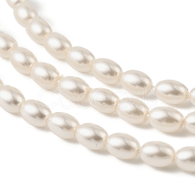 Electroplated Shell Pearl Beads Strands BSHE-Z009-10C-1