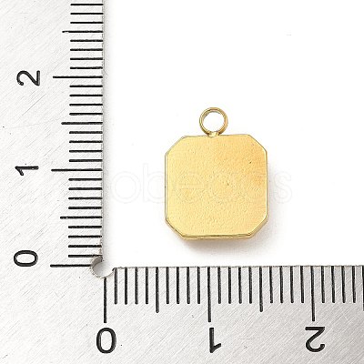 304 Stainless Steel Rhinestone Pendants STAS-I322-27G-02-1