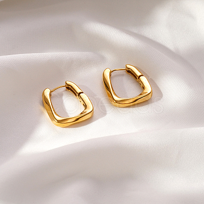 304 Stainless Steel Hoop Earrings for Women VX9531-1