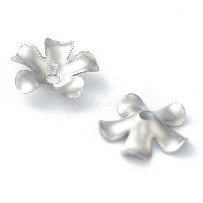 Non-Tarnish 304 Stainless Steel Bead Caps LS-STAS-H149-25P-1