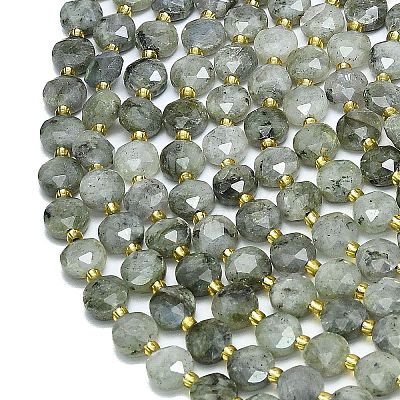 Natural Labradorite Beads Strands G-C116-A65-02-1
