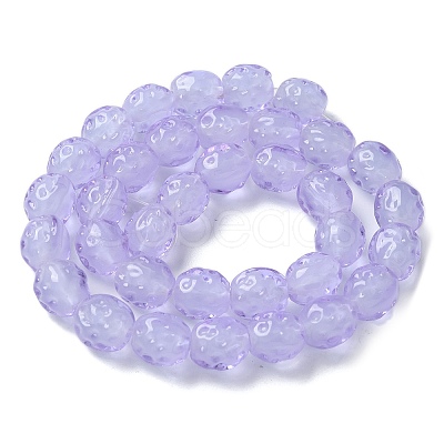 Handmade Lampwork Beads Strands LAMP-Z011-01C-1