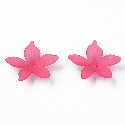 Transparent Acrylic Beads X-MACR-S373-127-D-1