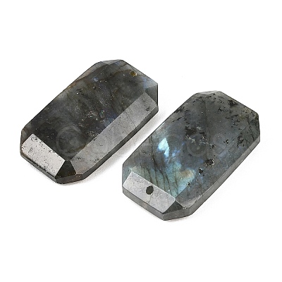 Natural Labradorite Pendants G-H325-03I-1