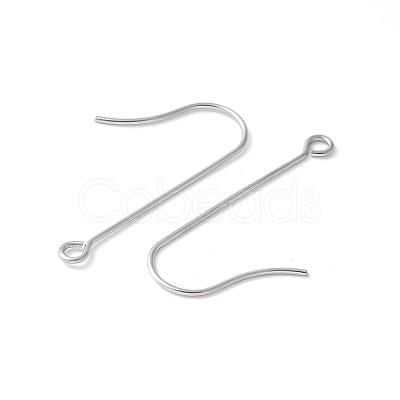 316 Surgical Stainless Steel Earring Hooks STAS-Z124-02B-P-1