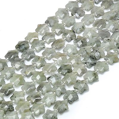 Natural Labradorite Beads Strands G-P573-C07-01-1