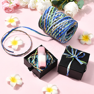 Segment Dyed Raffia Paper Cords for DIY Craft OCOR-WH20020-27B-1