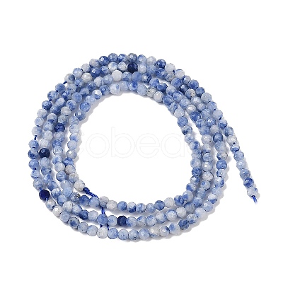 Natural Blue Spot Jasper Beads Strands G-A252-A02-01-1