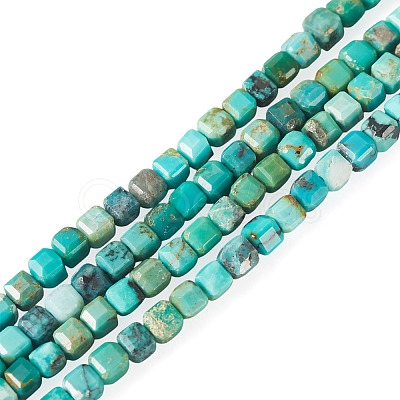 1 Strand Natural HuBei Turquoise Beads Strands G-TA0003-37-1