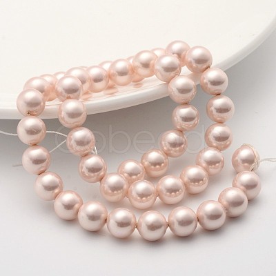 Shell Pearl Beads Strands SP10MM505-1