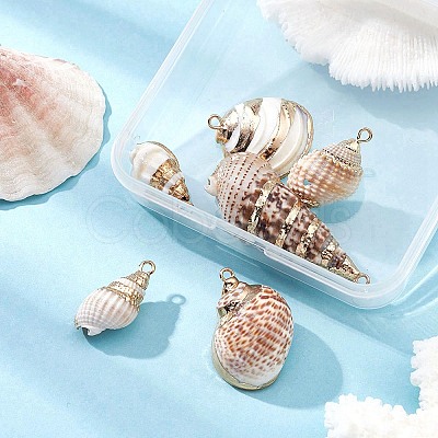 6Pcs 6 Styles Electroplated Natural Spiral Shell Pendants SSHEL-YW0001-06-1