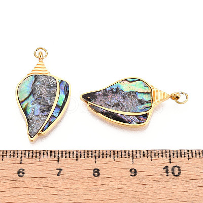304 Stainless Steel Pave Natural Paua Shell Pendants STAS-N115-20B-G-1