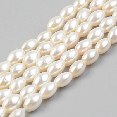 Electroplate Natural Freshwater Shell Beads Strands SHEL-T017-13A-01-1