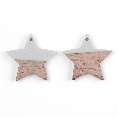 Resin & Wood Pendants X-RESI-T023-23A-1