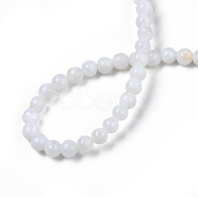 Natural Freshwater Shell Beads Strands SHEL-N003-24-1