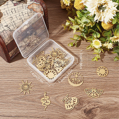 20Pcs 10 Style Ion Plating(IP) 201 & 304 Stainless Steel Pendants STAS-SC0004-74-1
