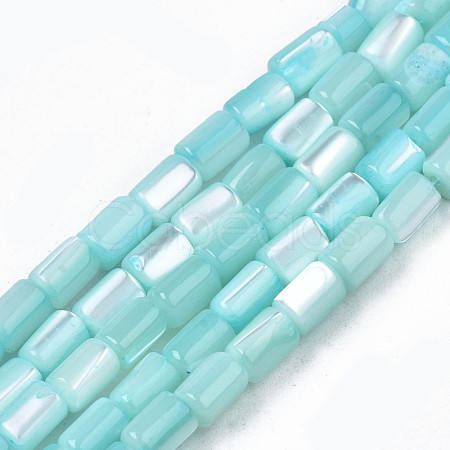 Natural Trochid Shell/Trochus Shell Beads Strands SHEL-N003-26-B09-1