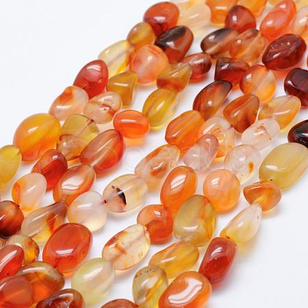 Natural Carnelian Beads Strands G-K203-29A-1