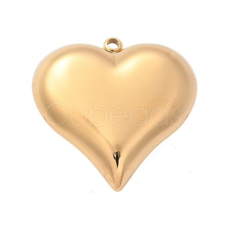 304 Stainless Steel Pendants X-STAS-Q349-02B-G-1