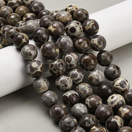 Natural Astroite Jasper Beads Strands G-F814-A01-10mm-1