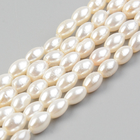 Electroplate Natural Freshwater Shell Beads Strands SHEL-T017-13A-01-1