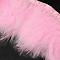 Fashion Feather Cloth Strand Costume Accessories, Pink, 120~190x28~56mm, about 2m/bag