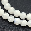 Natural Rainbow Moonstone Beads Strands G-P342-02B-6mm-AB+-3
