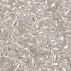 6/0 Glass Seed Beads SEED-A005-4mm-21-2