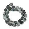 1 Strand Natural Eagle Eye Stone Beads Strands G-YW0002-79-1
