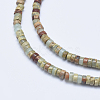 Natural Aqua Terra Jasper Beads Strands G-E444-17-4mm-3