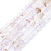 Natural Rutilated Quartz Beads Strands G-K245-A04-02-1