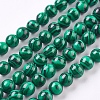Synthetic Malachite Beads Strands X-TURQ-P028-04-8mm-1