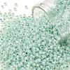 TOHO Round Seed Beads SEED-TR11-PF2118-1