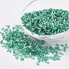 Glass Bugle Beads SEED-E001-12mm-178-1
