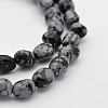 Natural Snowflake Obsidian Bead Strands G-P070-27-1