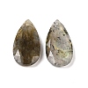Natural Labradorite Pendants G-M440-01F-1