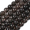Natural Smoky Quartz Beads Strands G-C265-A01-10mm-01-2