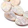 Natural Freshwater Shell Beads Strands SHEL-K006-35-3