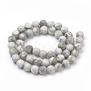 Natural Peace Jade Beads Strands G-S259-25-10mm-2