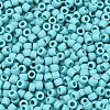 TOHO 8/0 Round Beads X-SEED-TR08-0055F-2