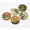 Donut/Pi Disc Natural Gemstone Pendants G-L234-30mm-06-1