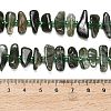 Natural Green Rutilated Quartz Beads Strands G-Z124-B02-01-5