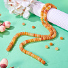 2 Strands Natural Red Aventurine Beads Strands G-TA0002-24-6