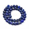 Natural Lapis Lazuli Beads Strands G-E465-8mm-01-5