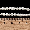 Electroplated Shell Pearl Beads Strands BSHE-B008-06A-4